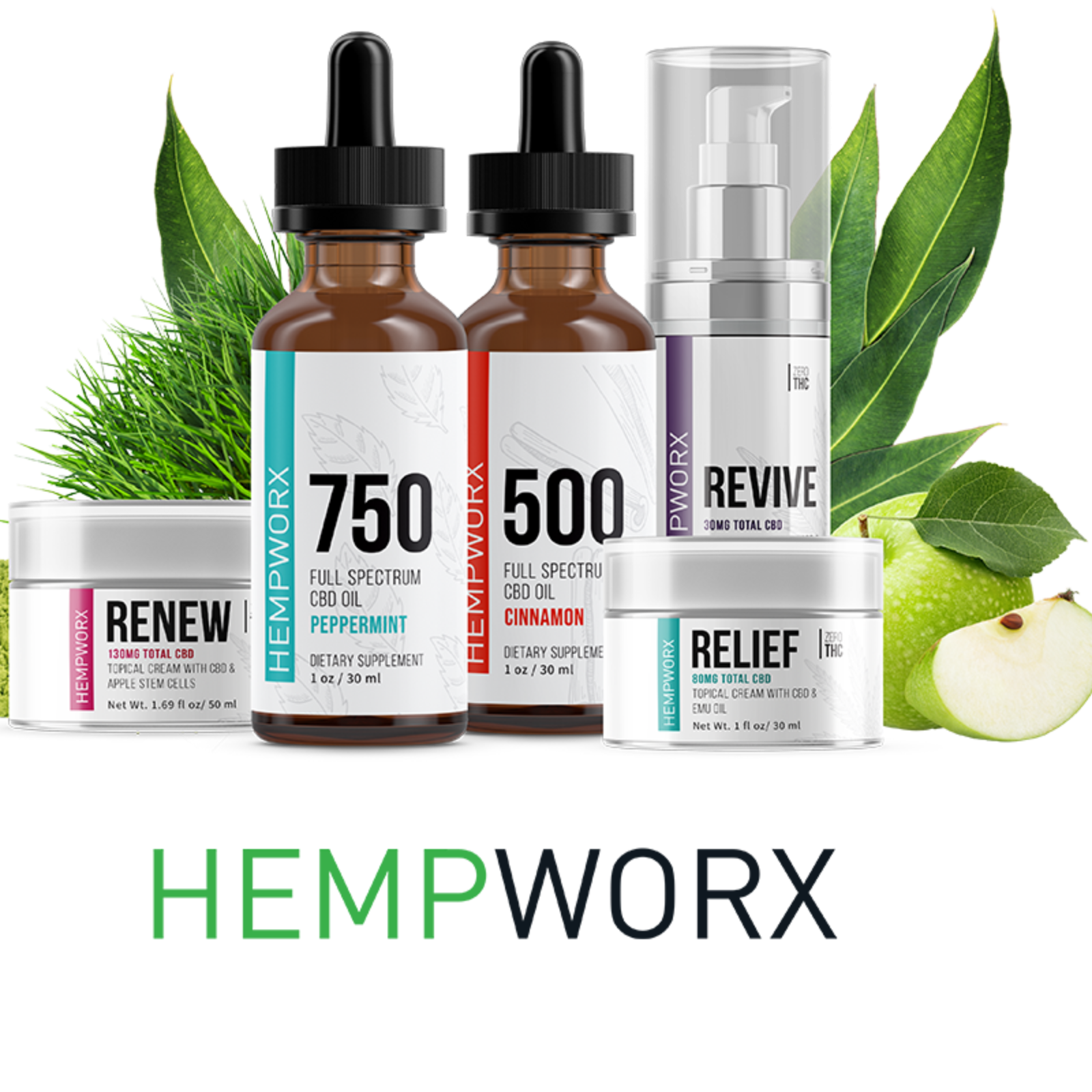 HempWorx DirectlyHemp Canada USA HempWorx CBD Directors Pack